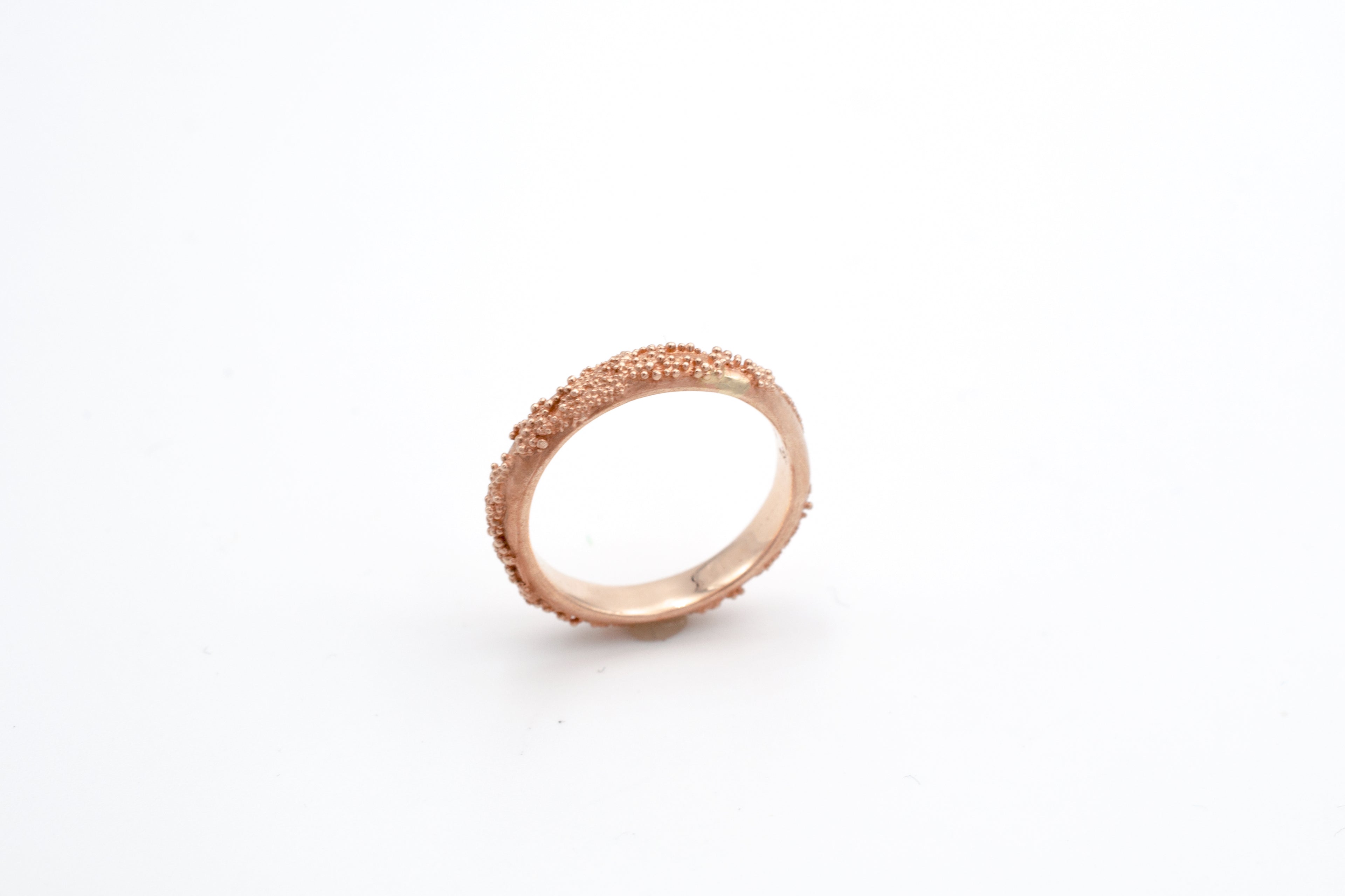 Ring Weltenbummler image 6