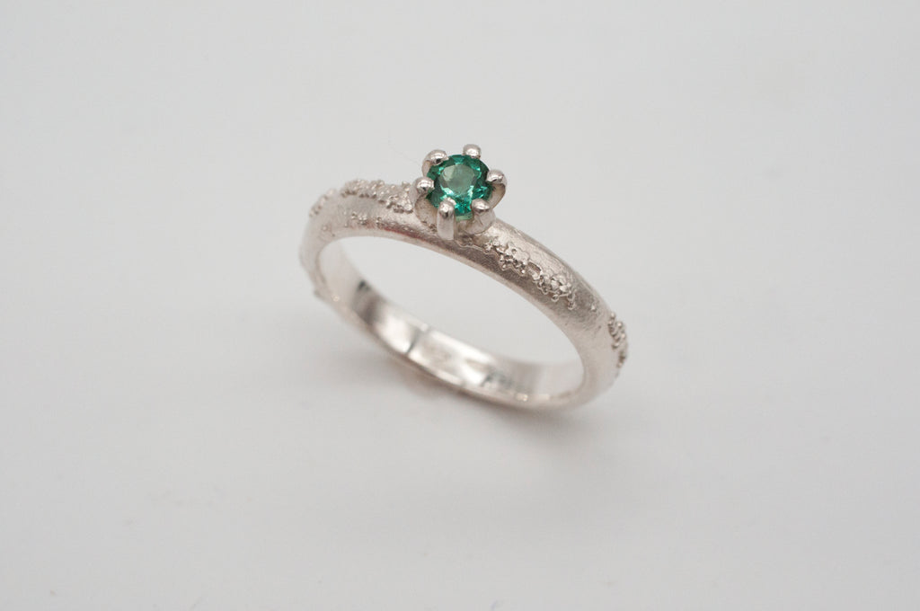 Ring Weltenbummler - Canberra image 10