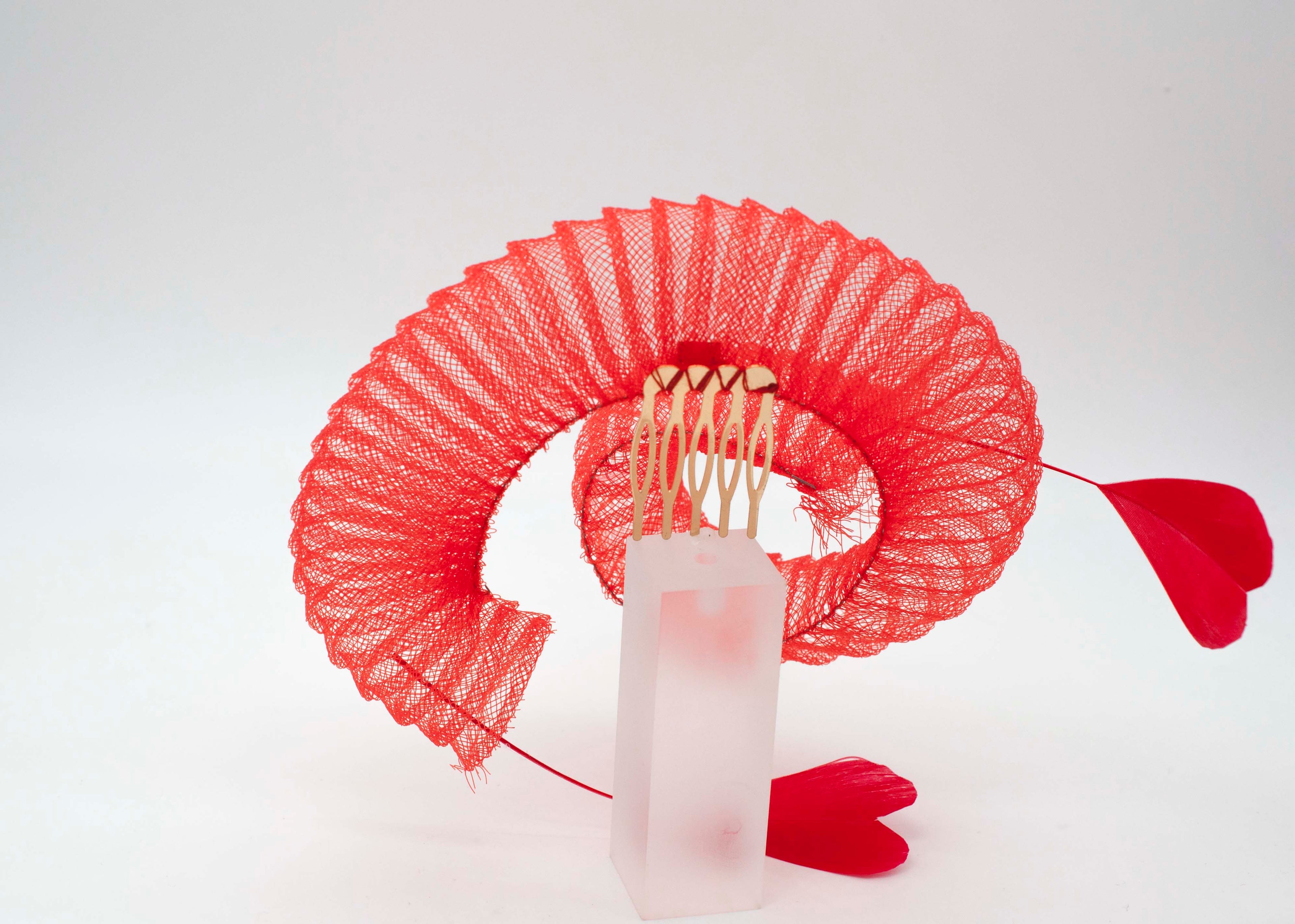 Rote Herzschnecke image 2