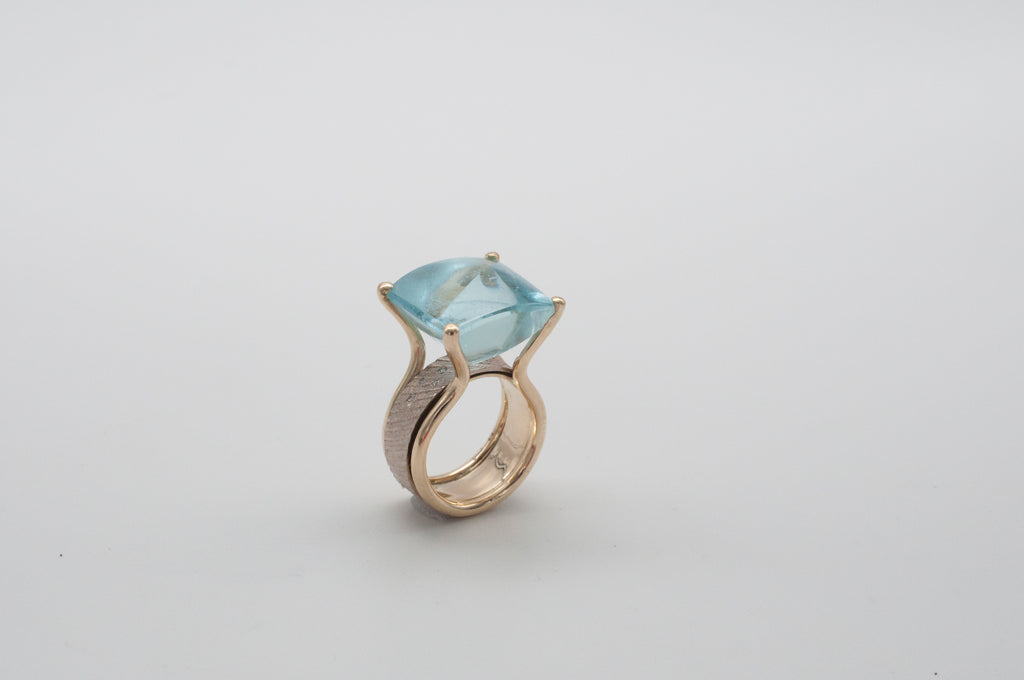 Ring Fischschwarm image 1