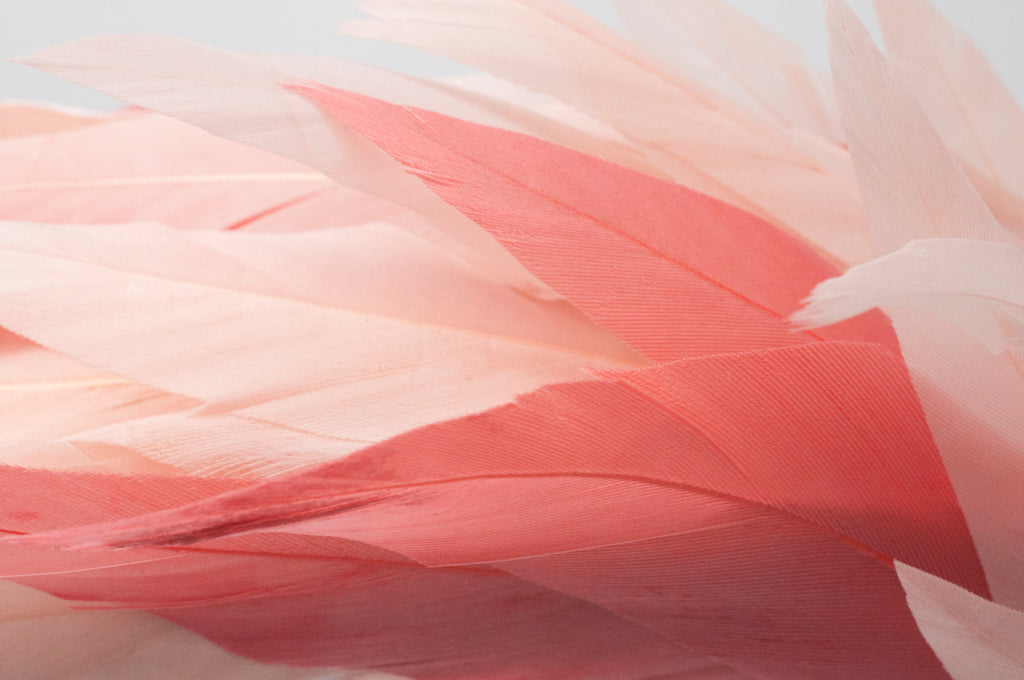 Fascinator - Haarreifen - Flamingo image 1