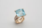 Ring Fischschwarm image 5