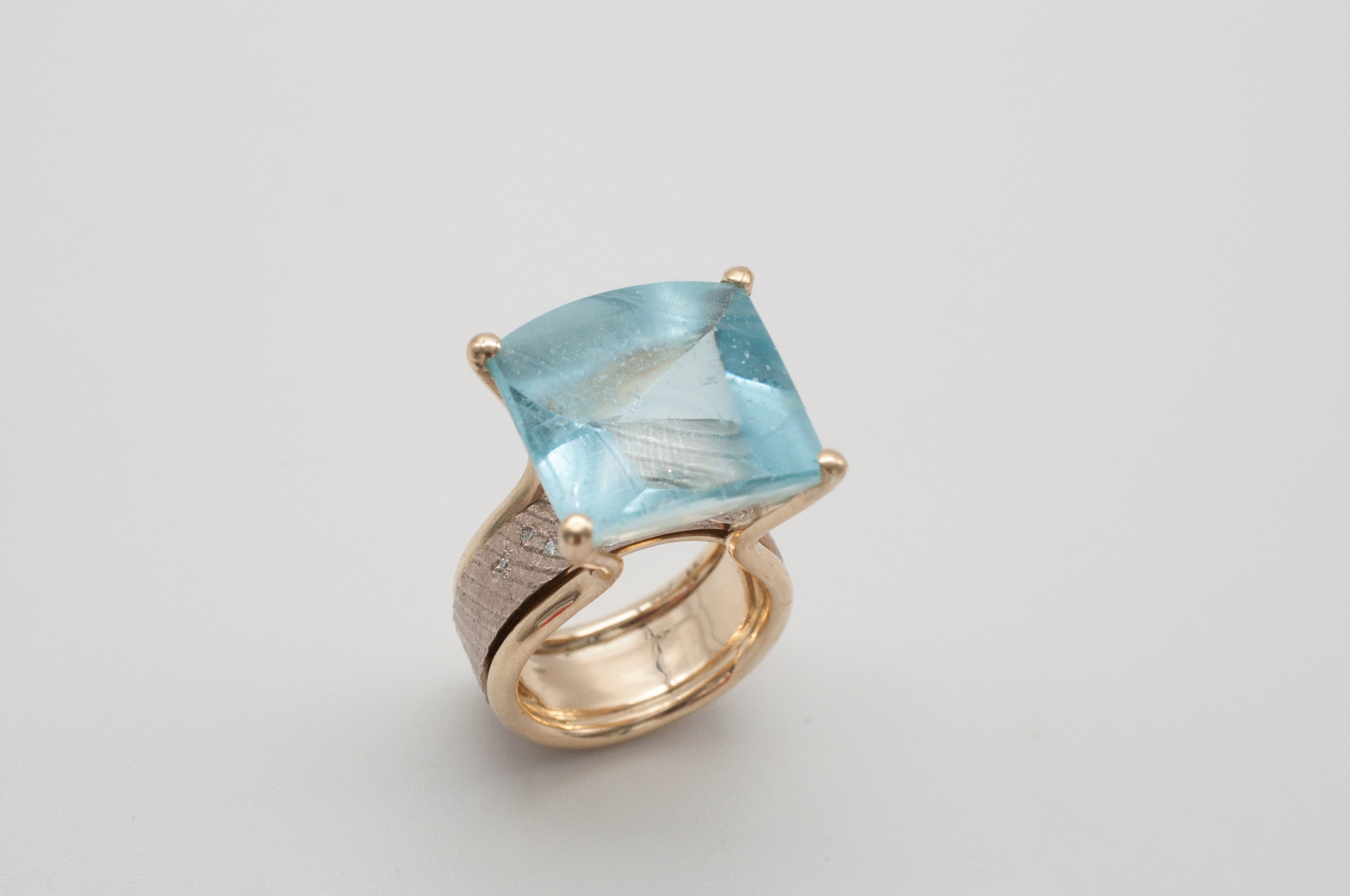 Ring Fischschwarm image 5
