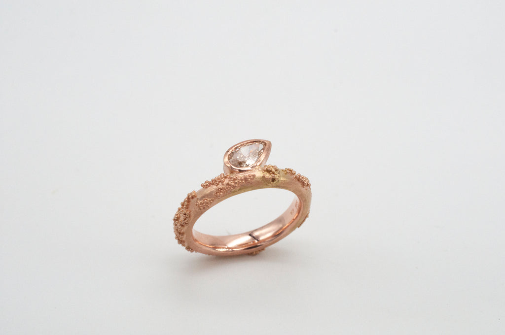 Ring Weltenbummler - Sydney image 6