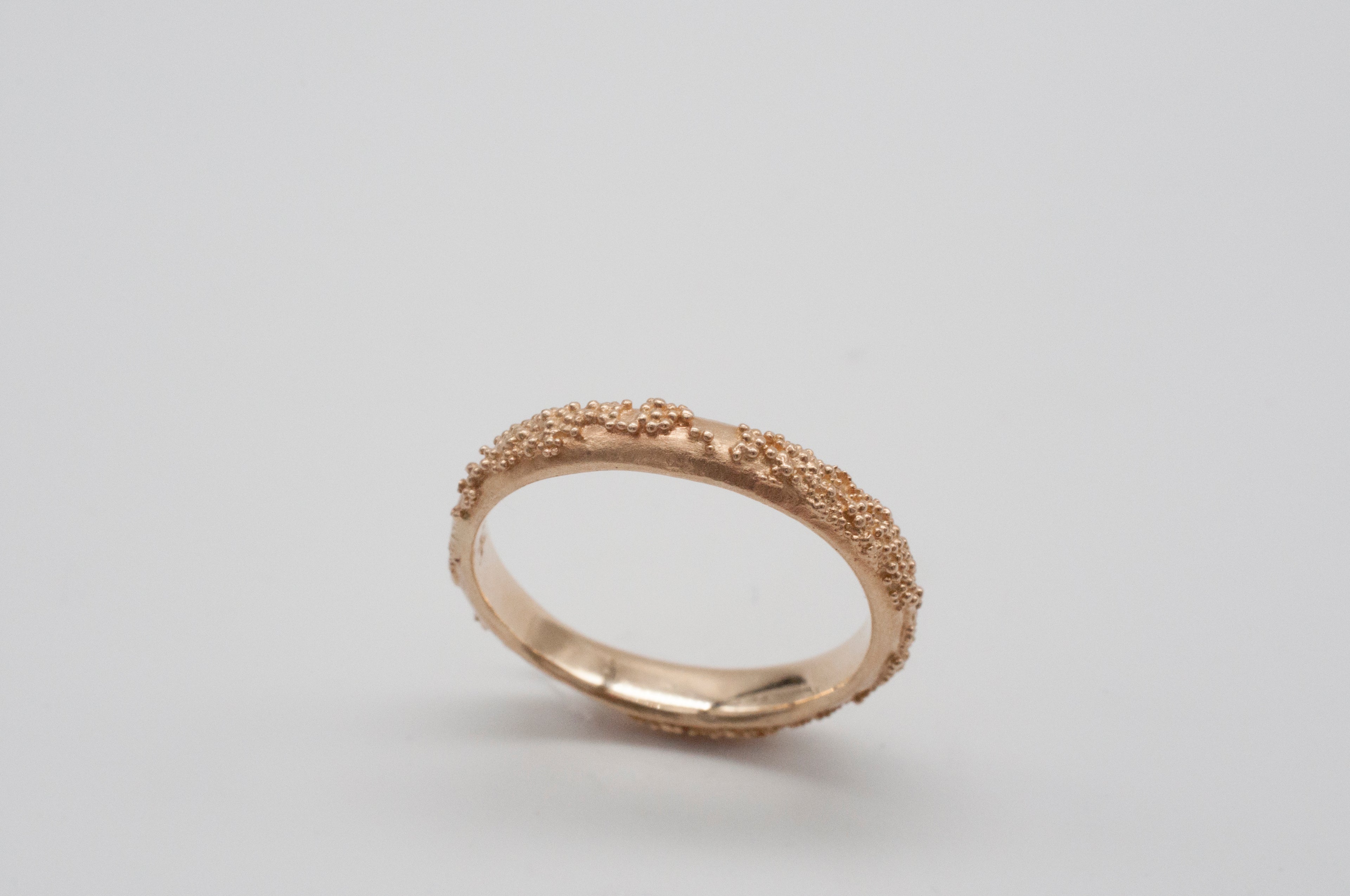 Ring Weltenbummler image 12