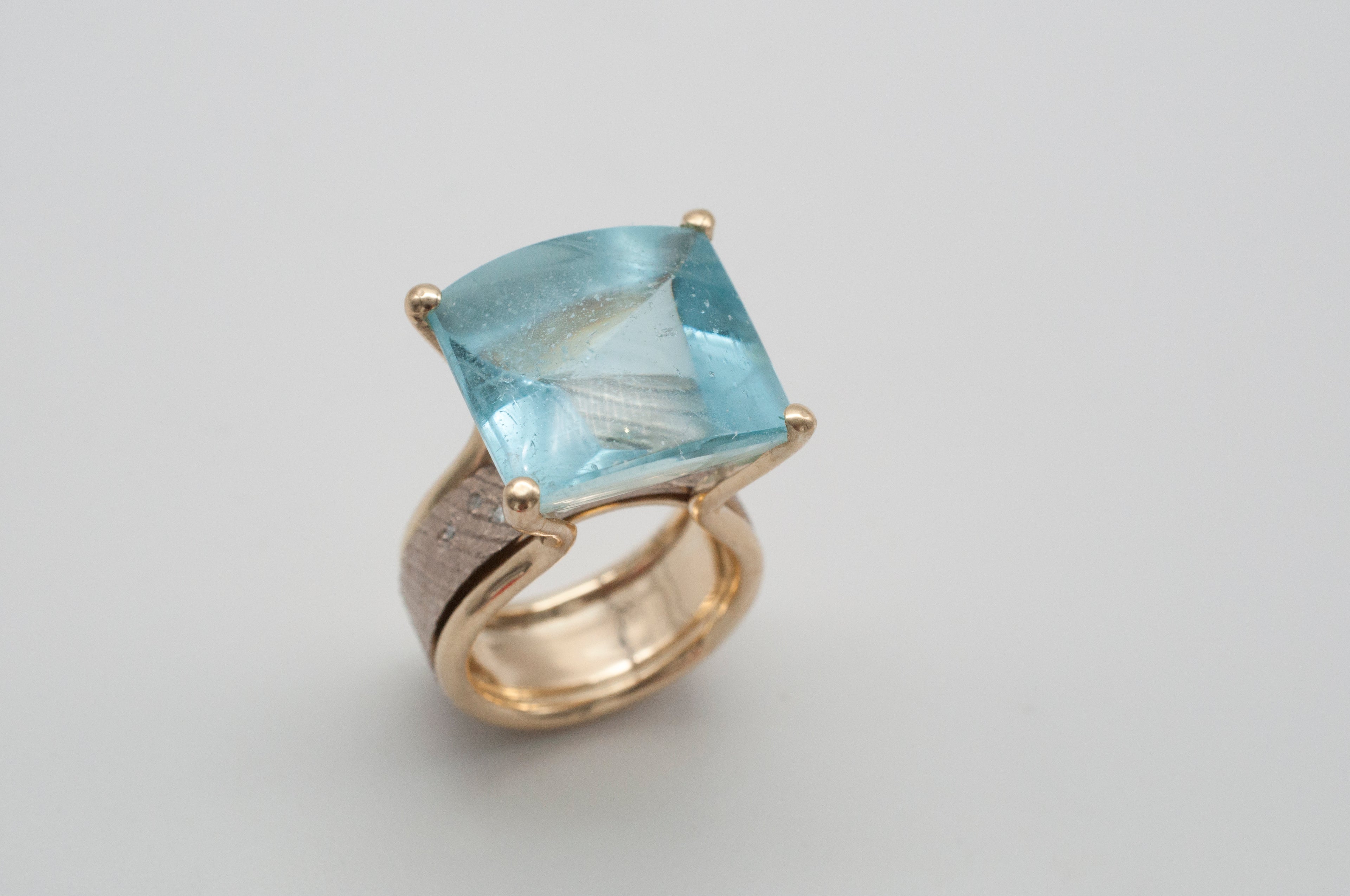 Ring Fischschwarm image 0