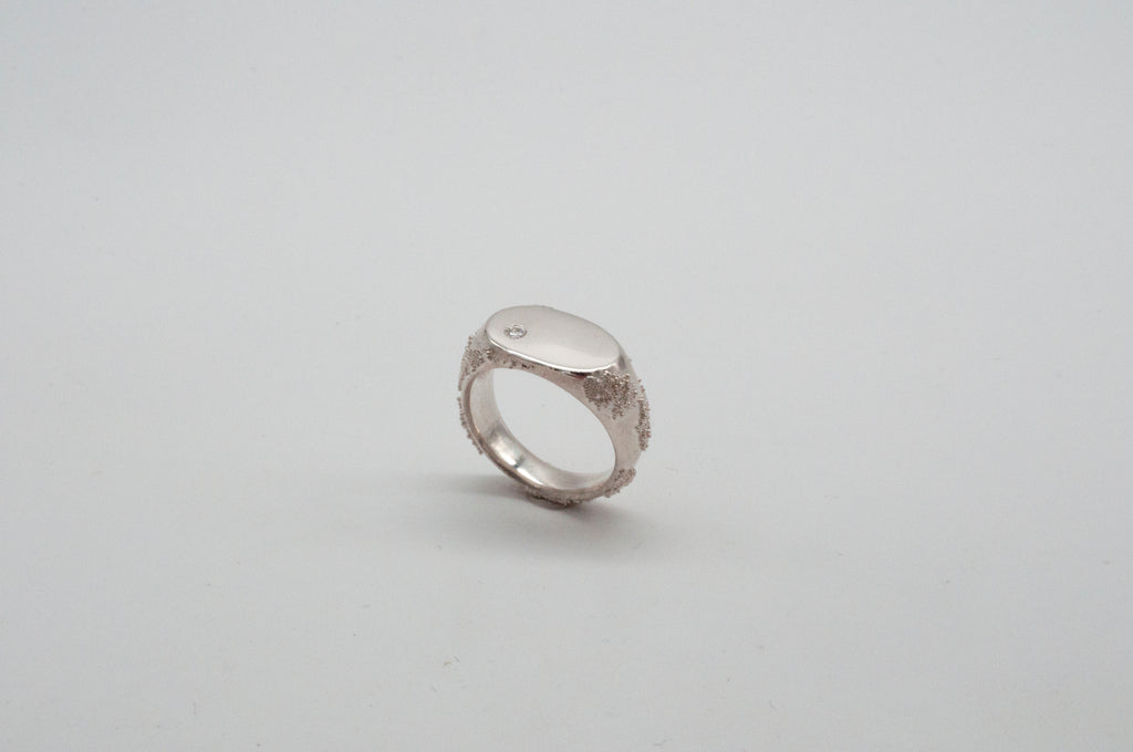 Ring Weltenbummler - Siegelring - Berlin image 10