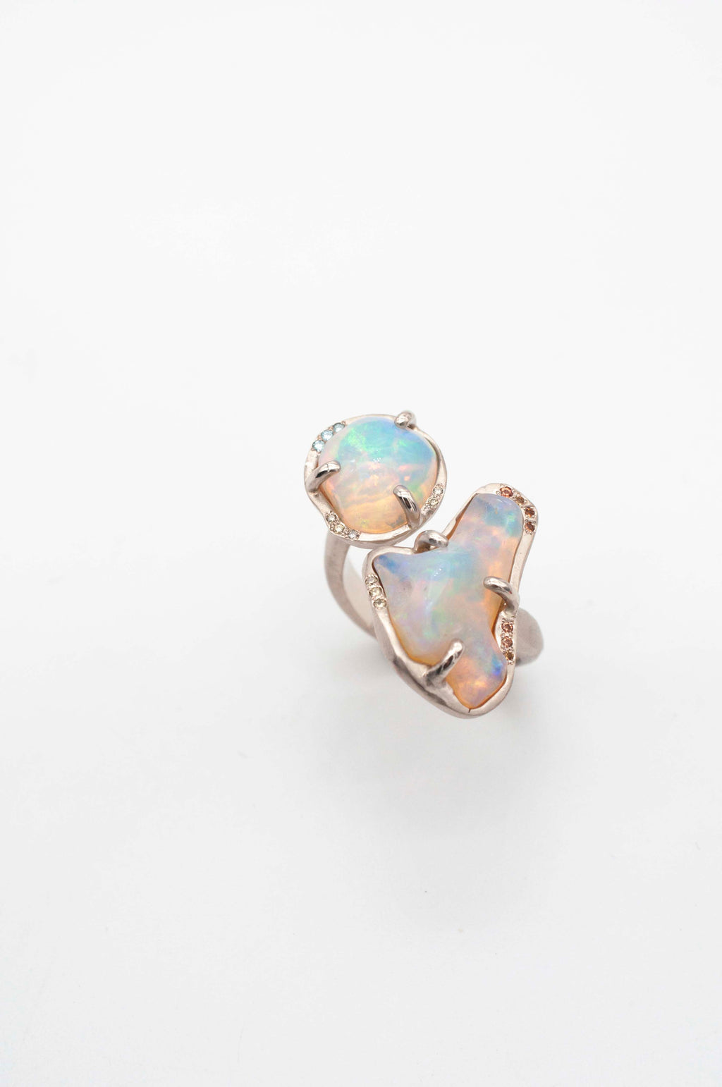 Cosmic Dust Ring -