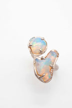 Cosmic Dust Ring -