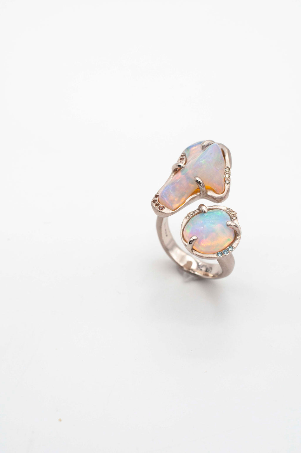 Cosmic Dust Ring -