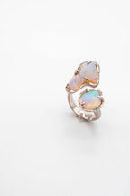 Cosmic Dust Ring -