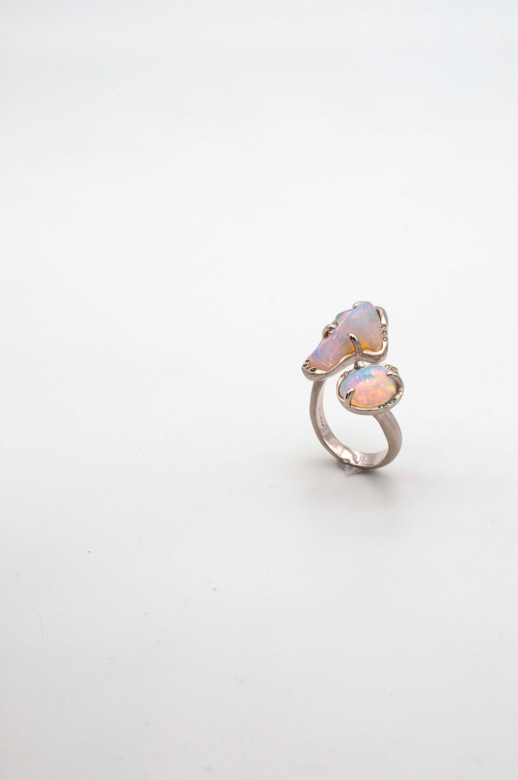 Cosmic Dust Ring -