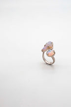 Cosmic Dust Ring -