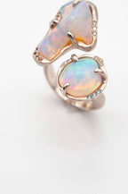 Cosmic Dust Ring -