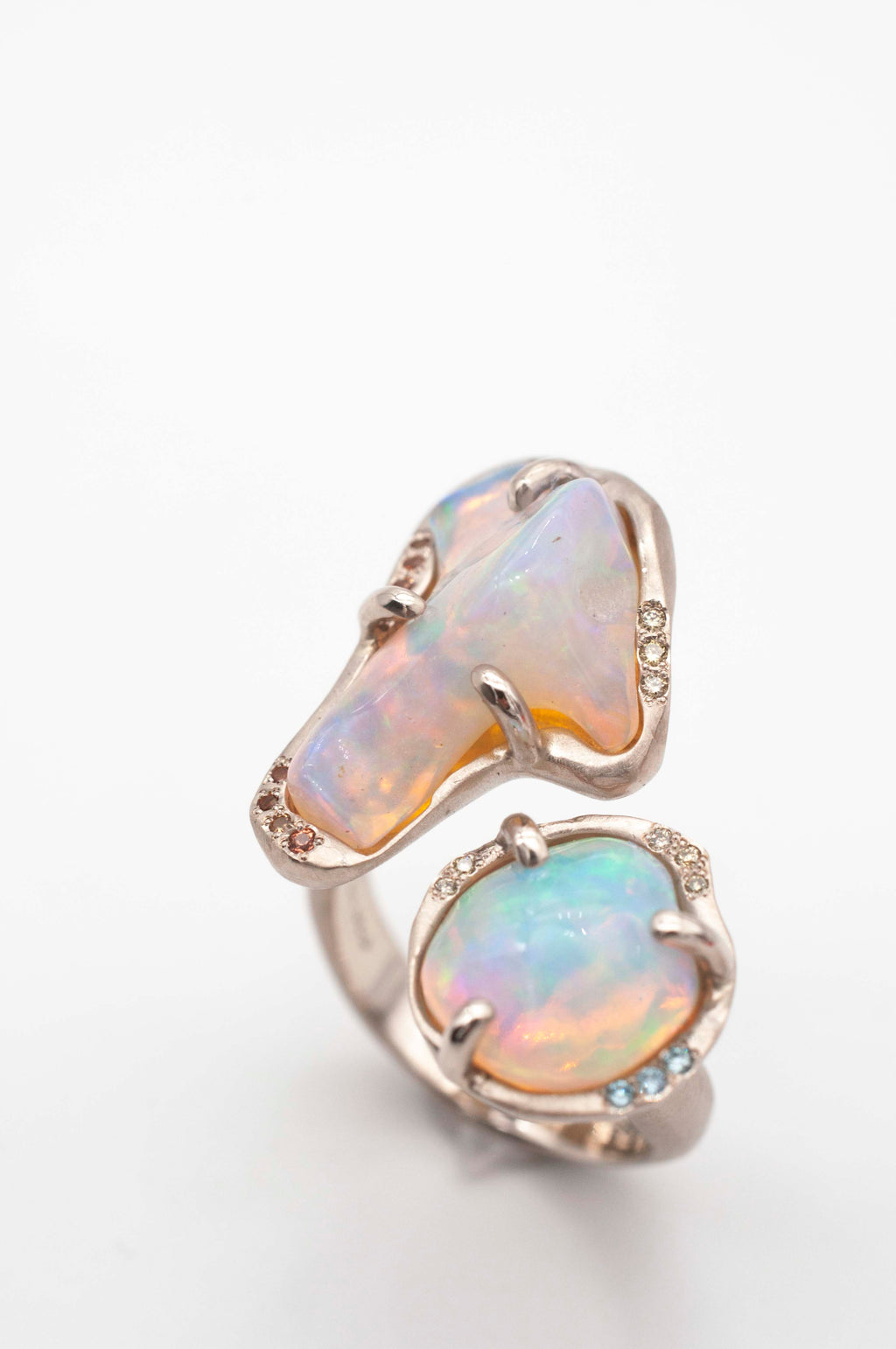 Cosmic Dust Ring -
