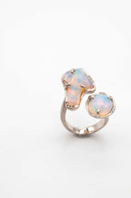 Cosmic Dust Ring -
