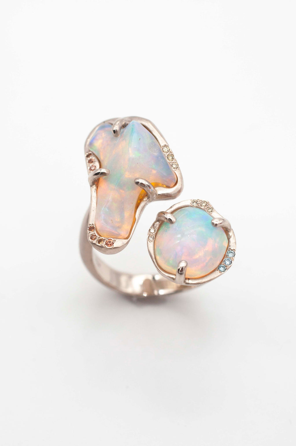 Cosmic Dust Ring -